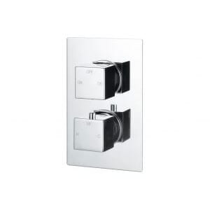 carterton thermostatic twin shower valve two outlet